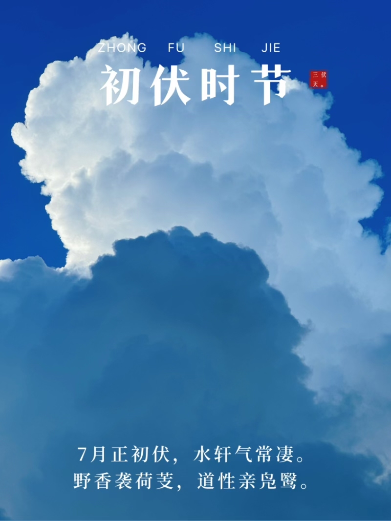 时至初伏迈向成熟(图1)