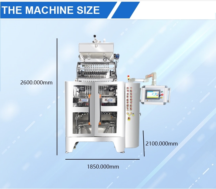 12-lanes back seal granule packing machine(图6)